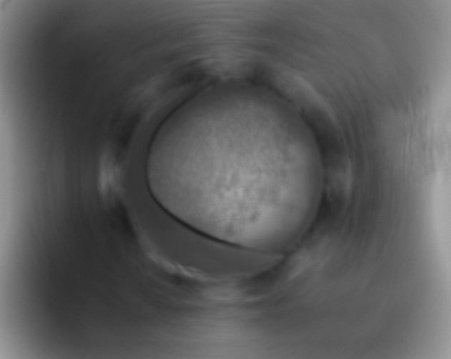 X0000092081010200709262100