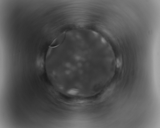 X0000092081011200709262100