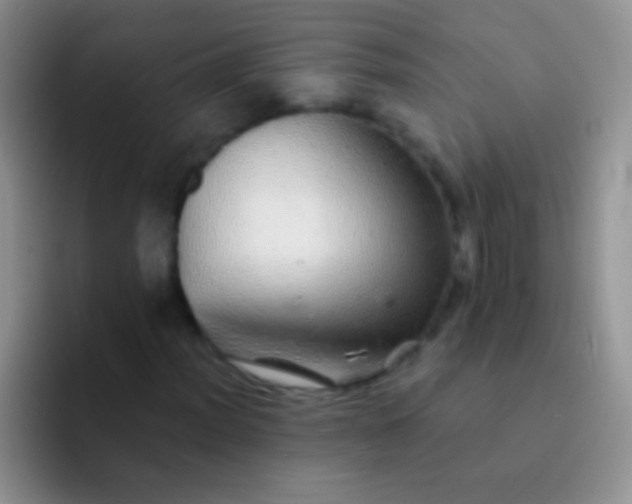 X0000092081012200709262100
