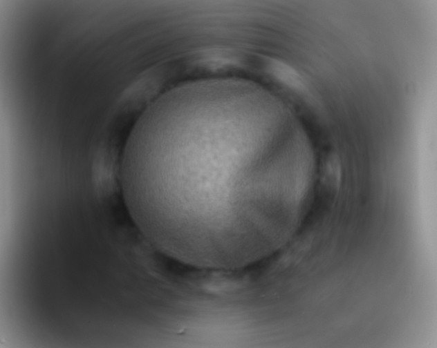 X0000092081014200709262100