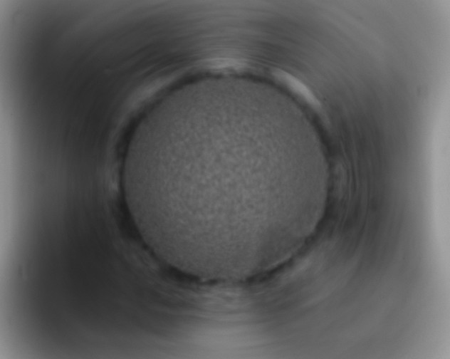 X0000092081016200709262100