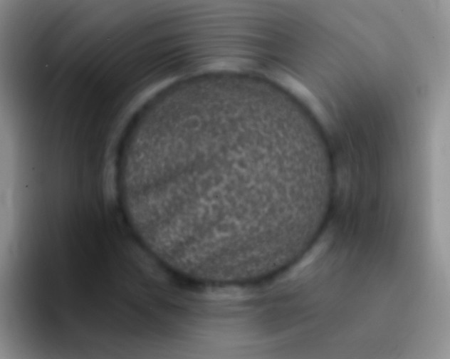 X0000092081019200709262100