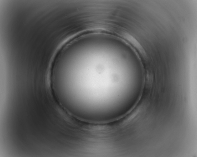X0000092081020200709262100
