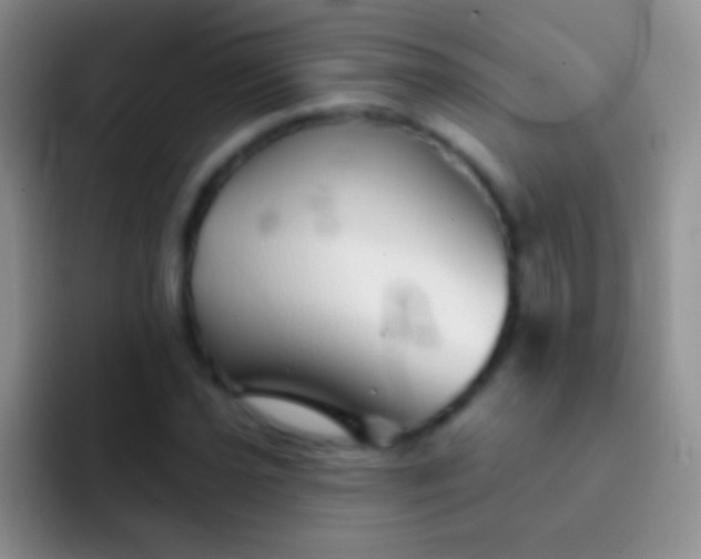 X0000092081021200709262100