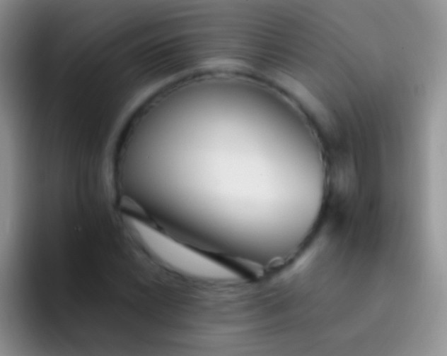 X0000092081022200709262100