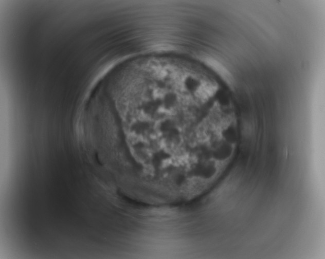 X0000092081023200709262100