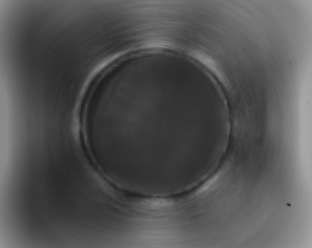 X0000092081024200709262100