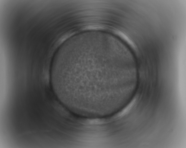 X0000092081025200709262100