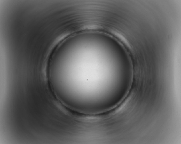 X0000092081026200709262100