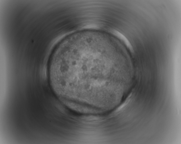 X0000092081027200709262100