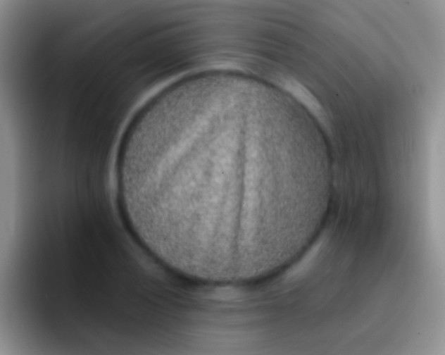 X0000092081028200709262100