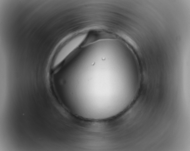 X0000092081029200709262100