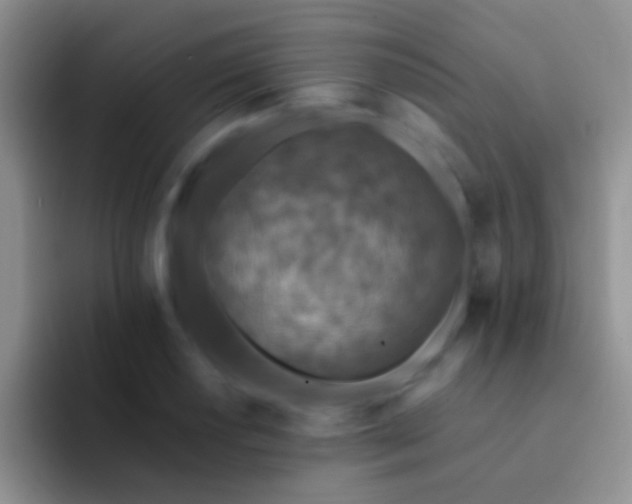 X0000092081034200709262100