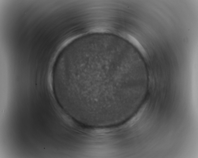 X0000092081035200709262100