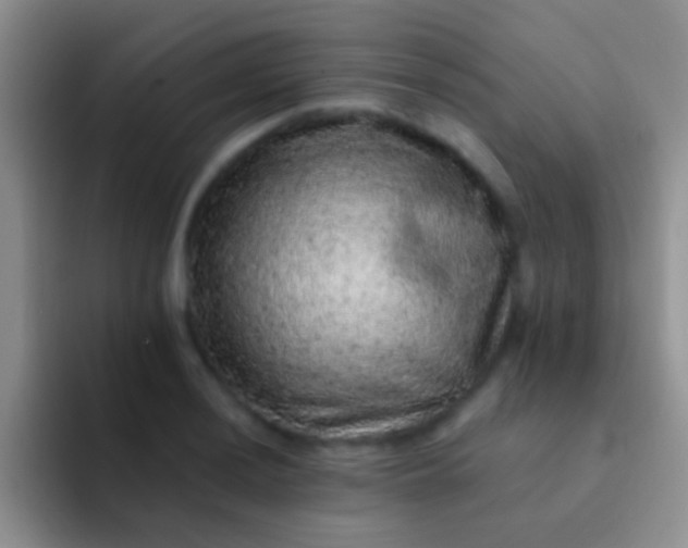 X0000092081036200709262100