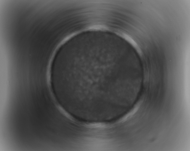 X0000092081037200709262100