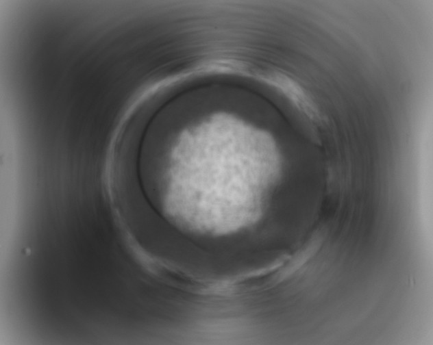 X0000092081038200709262100