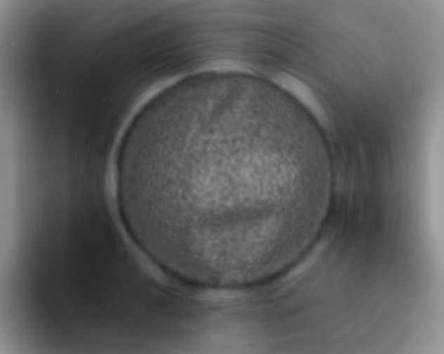 X0000092081040200709262100