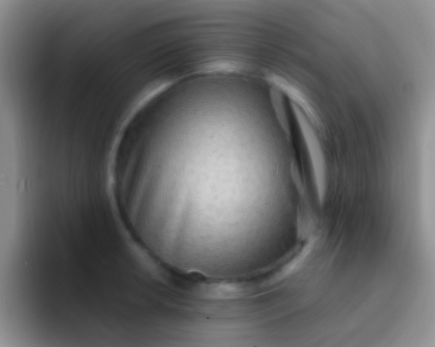 X0000092081042200709262100