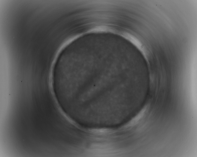 X0000092081045200709262100