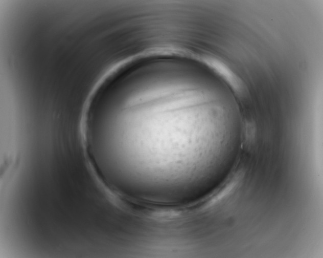 X0000092081046200709262100