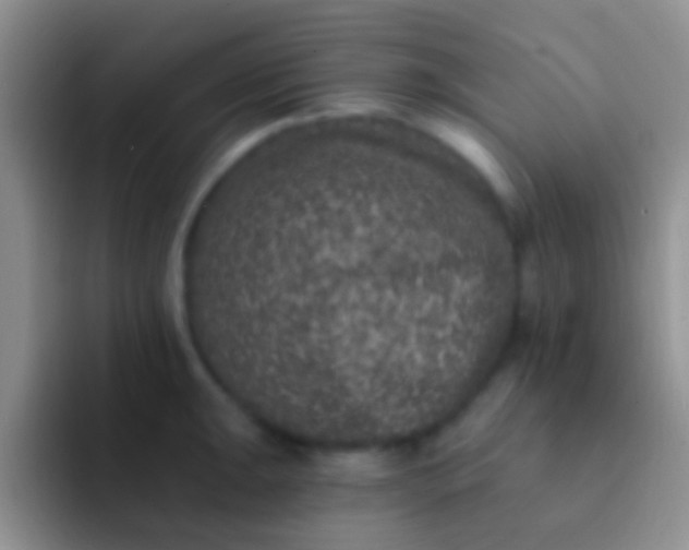 X0000092081047200709262100