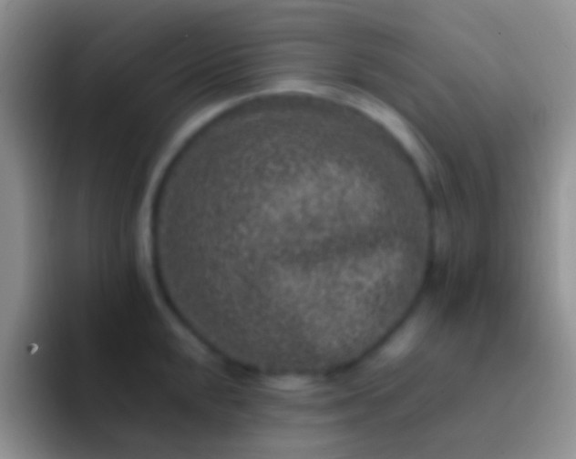 X0000092081048200709262100