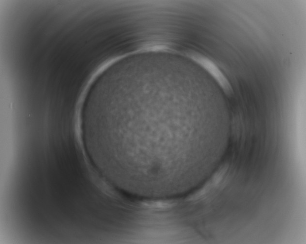 X0000092081051200709262100
