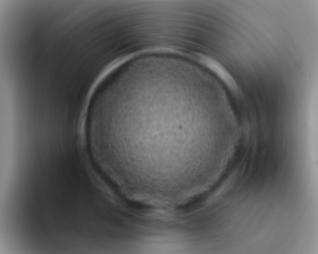 X0000092081052200709262100