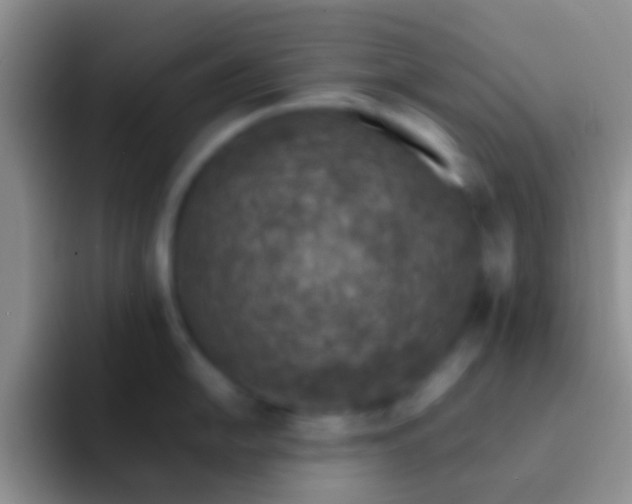 X0000092081054200709262100