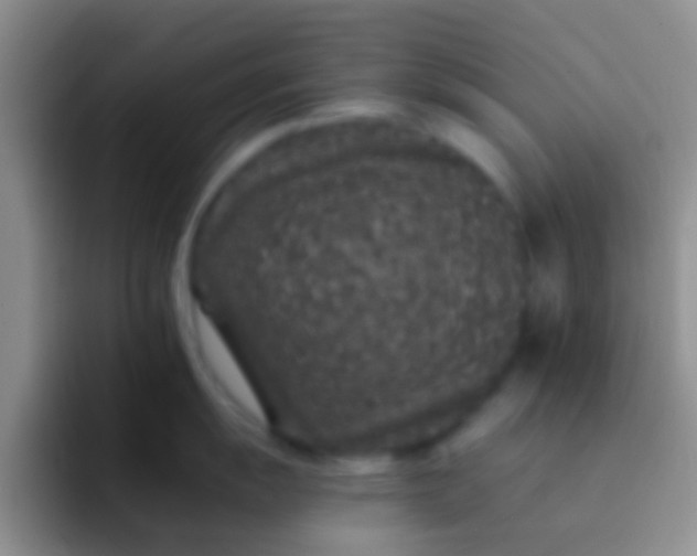 X0000092081055200709262100