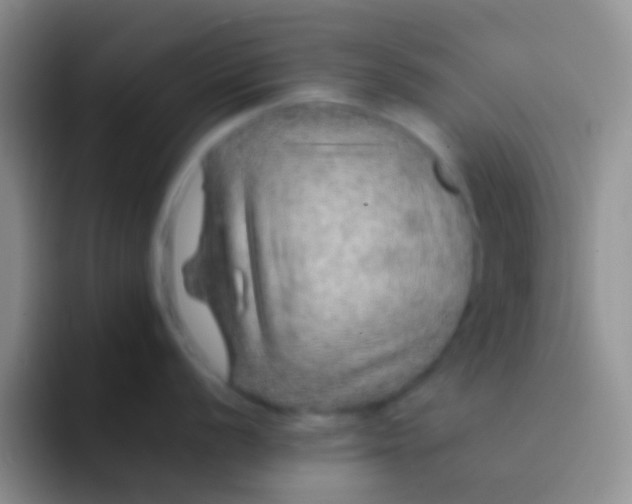 X0000092081056200709262100