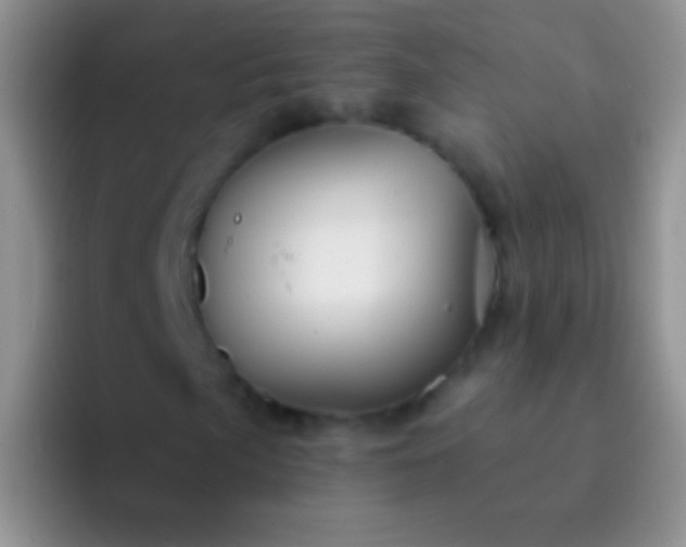 X0000092081057200709262100