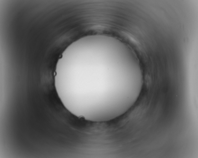 X0000092081062200709262100