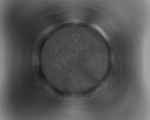 X0000092081064200709262100