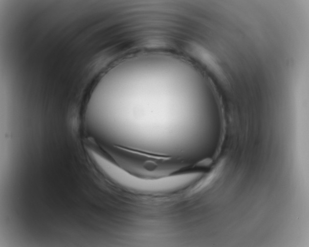 X0000092081065200709262100