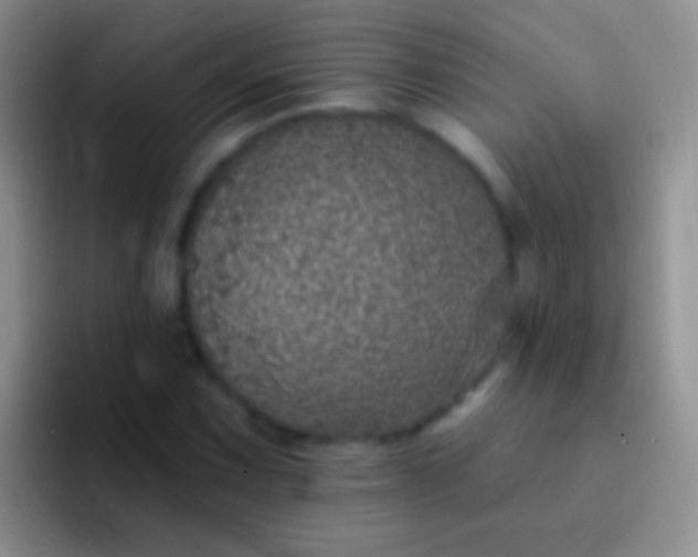 X0000092081067200709262100