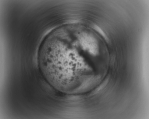 X0000092081071200709262100