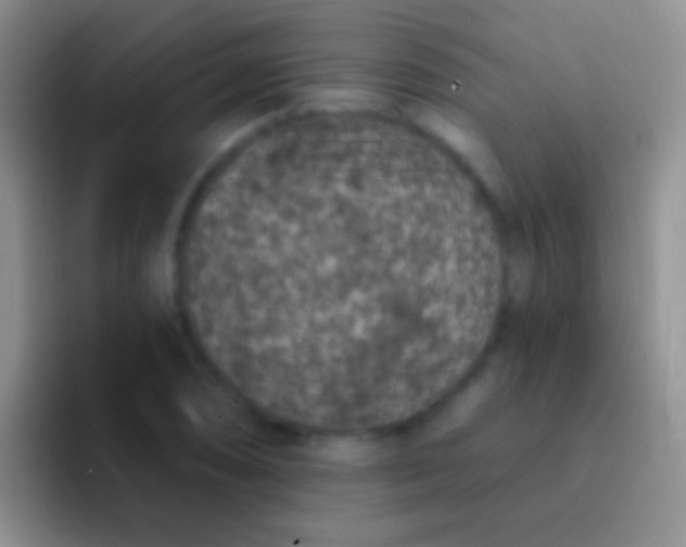 X0000092081074200709262100