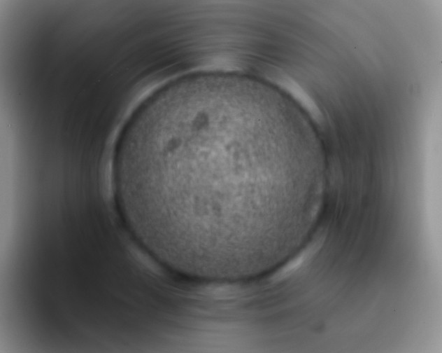 X0000092081075200709262100