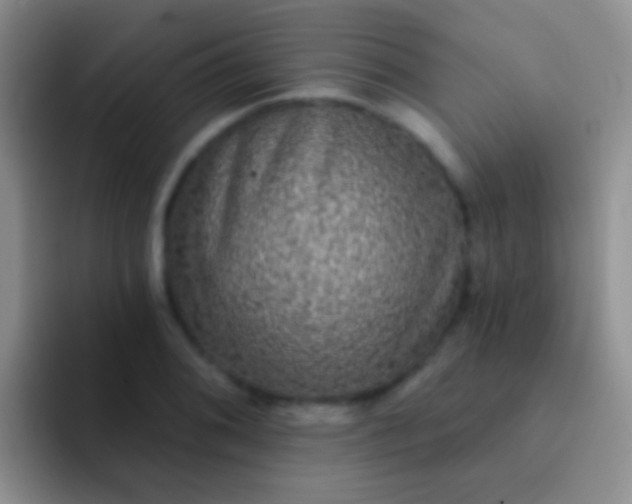 X0000092081076200709262100