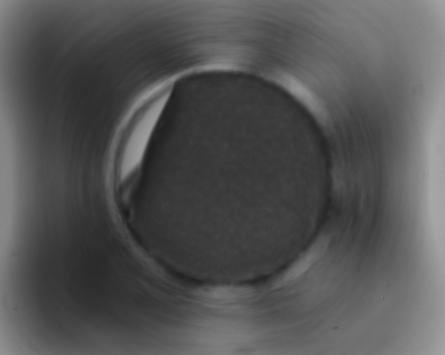 X0000092081077200709262100