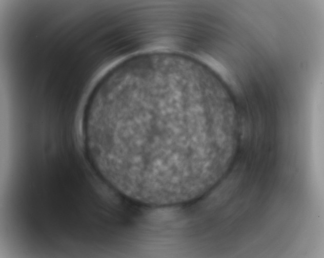 X0000092081078200709262100