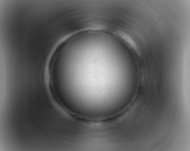 X0000092081080200709262100