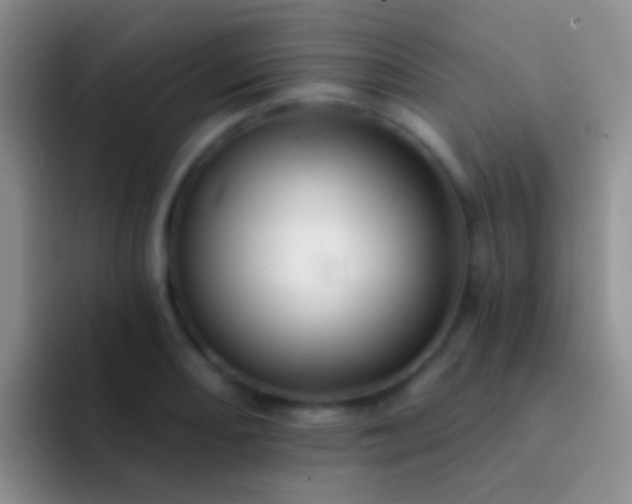 X0000092081082200709262100