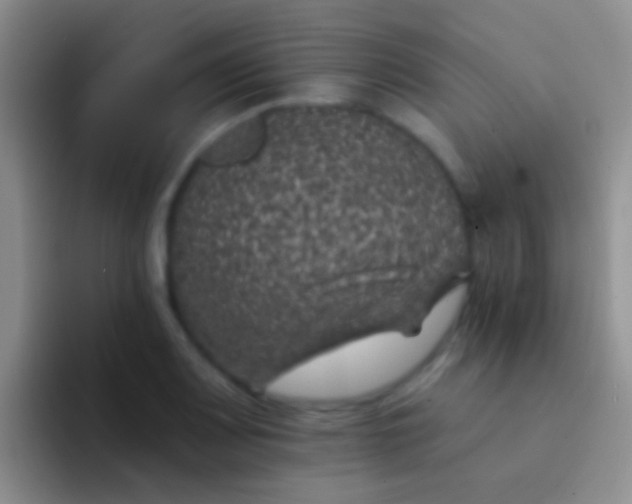 X0000092081083200709262100