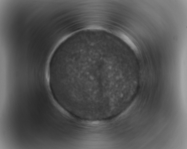 X0000092081084200709262100