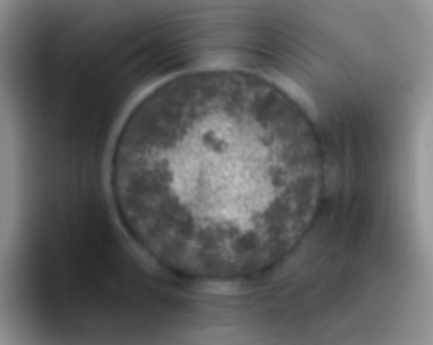 X0000092081086200709262100