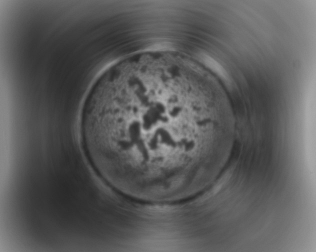 X0000092081087200709262100