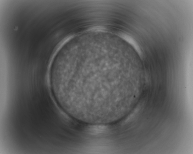 X0000092081090200709262100